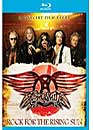 DVD, Aerosmith : Rock for the rising sun (Blu-ray) sur DVDpasCher