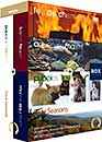 DVD, Feu de Chemine + Aquarium Marin + Chiots & Chatons + Quatre Saisons / 4 DVD sur DVDpasCher