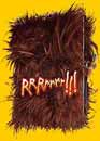 Alain Chabat en DVD : RRRrrrr !!! - Edition collector limite / 2 DVD