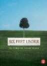 DVD, Six Feet Under : Saison 2 - Edition belge sur DVDpasCher