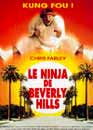 DVD, Le Ninja de Beverly Hills sur DVDpasCher