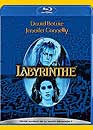 DVD, Labyrinthe (Blu-ray) sur DVDpasCher
