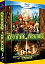 DVD, Arthur et les Minimoys + Arthur et la vengeance de Maltazard (Blu-ray) sur DVDpasCher