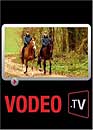 DVD, A cheval sur la loi : L'unique cole de gardes   cheval de France sur DVDpasCher