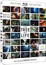 DVD, The tree of life - Edition collector (Blu-ray + DVD) sur DVDpasCher