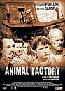 DVD, Animal factory - Edition 2012 sur DVDpasCher