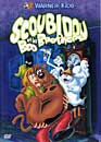 Dessin Anime en DVD : Scoubidou et les Boo Brothers